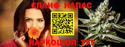PSILOCYBIN Будённовск