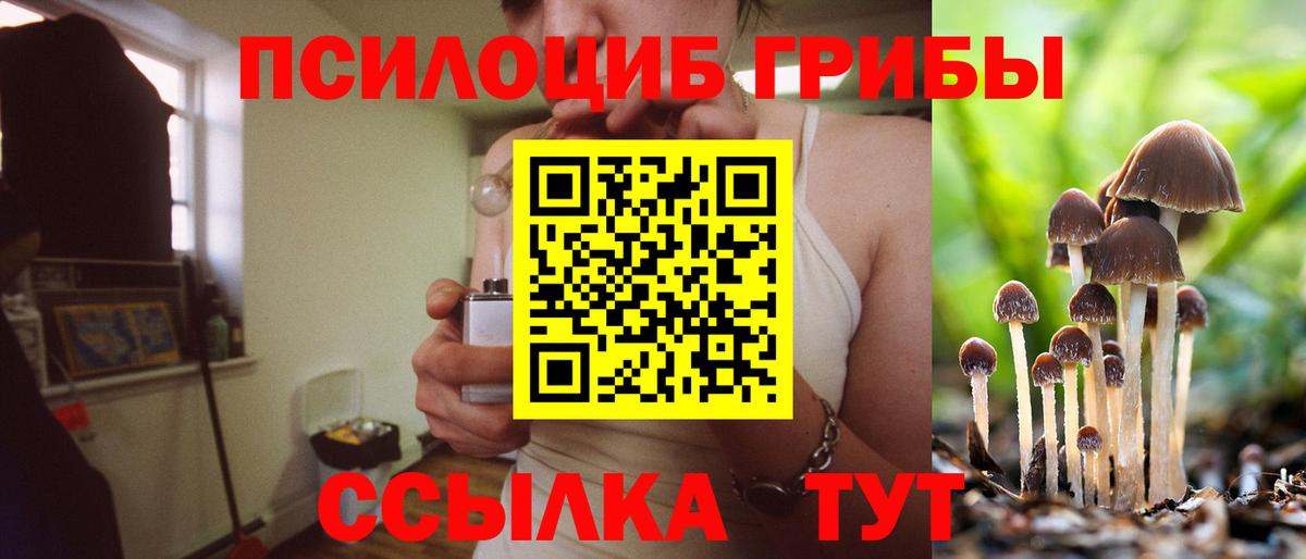Галлюциногенные грибы GOLDEN TEACHER  Псилоцибиновые грибы мухоморы  Вход с VPN  Сердобск 